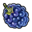 blueberry image