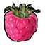 raspberry image