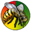wasp with full timer image